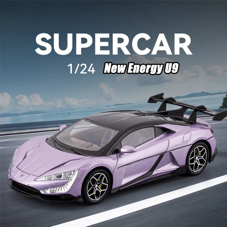 1:24 Diecast New Energy U9 Model Car